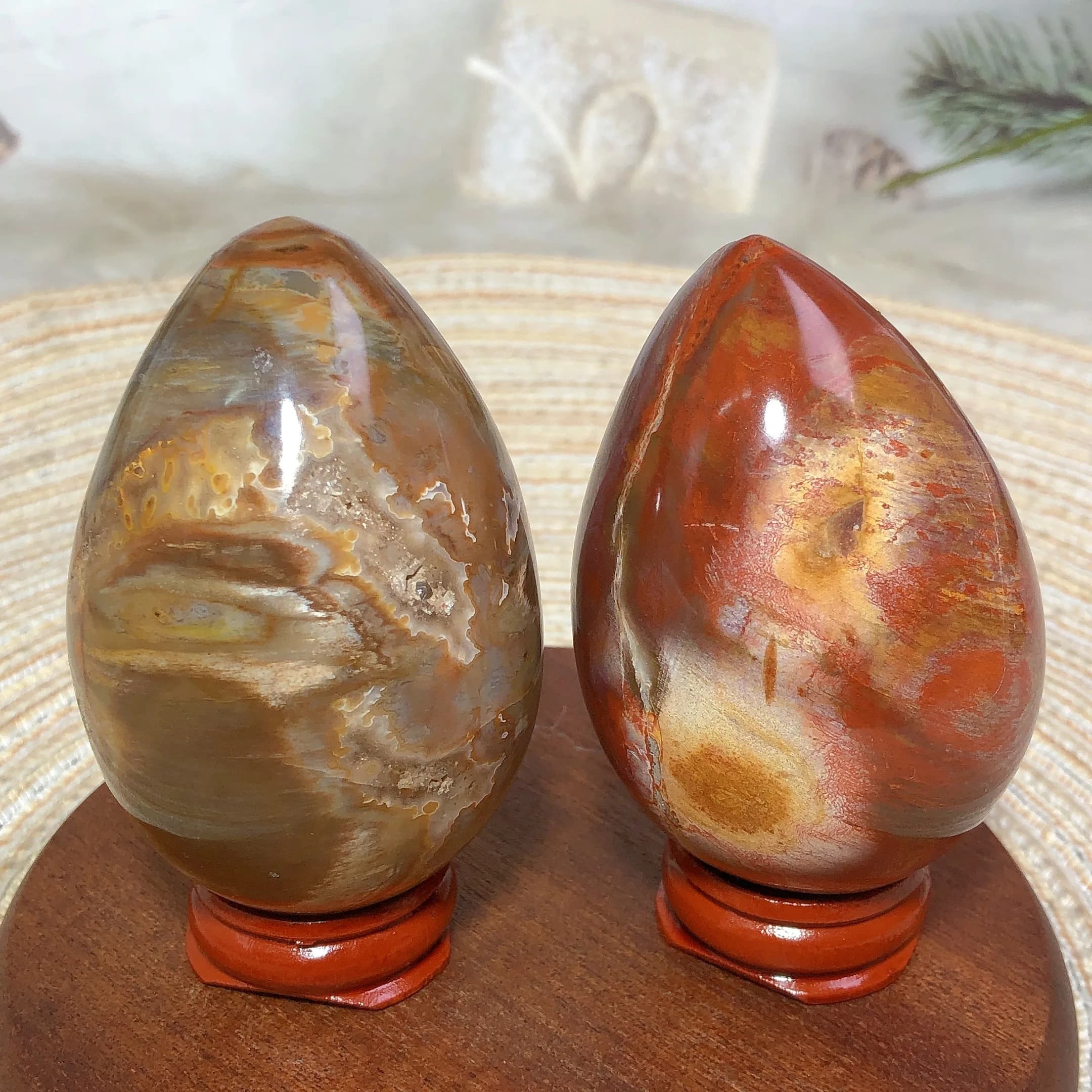 Natural Crystal Petrified Wood Eggs Energy Reiki Ornament Ore Polished Healing High Quality Home Decoration Room Decor Mineral