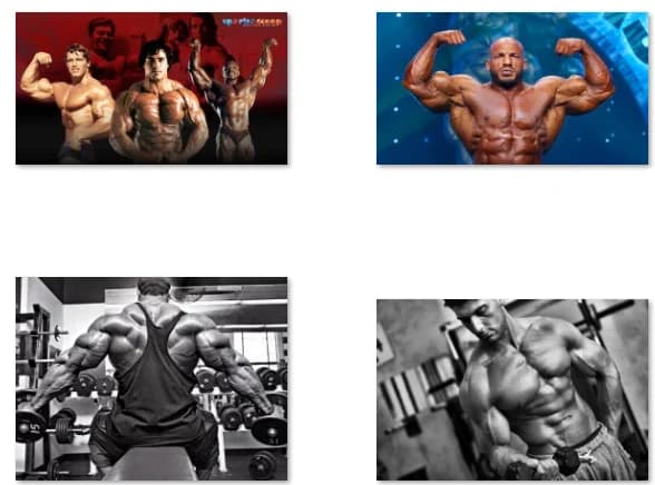 8Style Winners History Bodybuilding, Art Print Silk Poster Home Wall Decor
