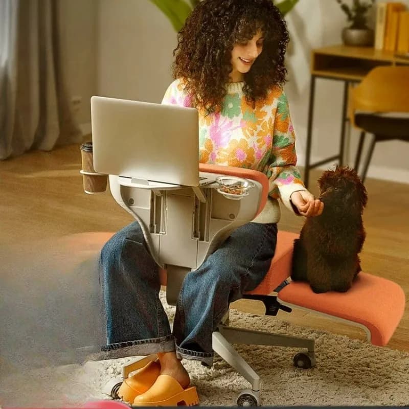 Free Computer Office Single Sofa Leisure Pet Swivel