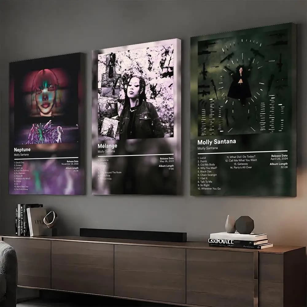 Molly S-Santana Rapper Painting Calligraphy HD Modern Style Inner Frame Canvas Poster Bedroom Room Hallway Wall Art Decor