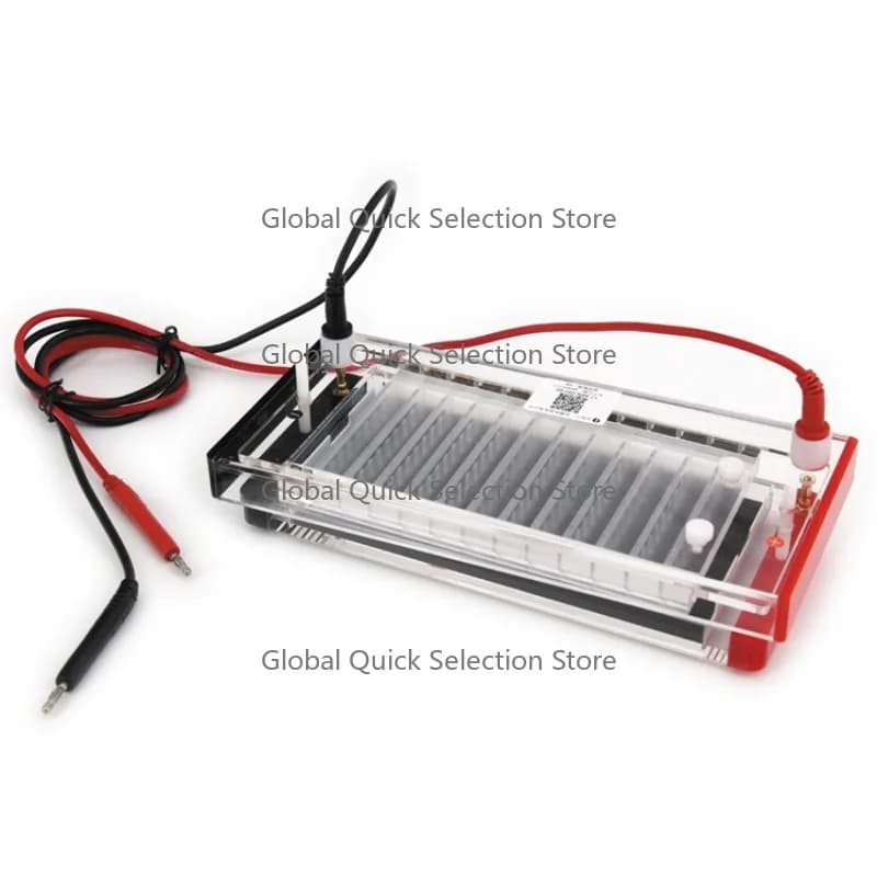 Rapid Gel Fast Speed PCR Sample Ana-lyzer DNA Electrophoresis Apparatus System DYCP-44N