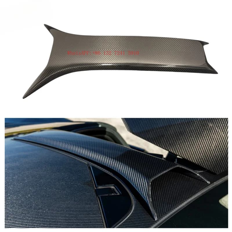 Dry Carbon Fiber Roof coop