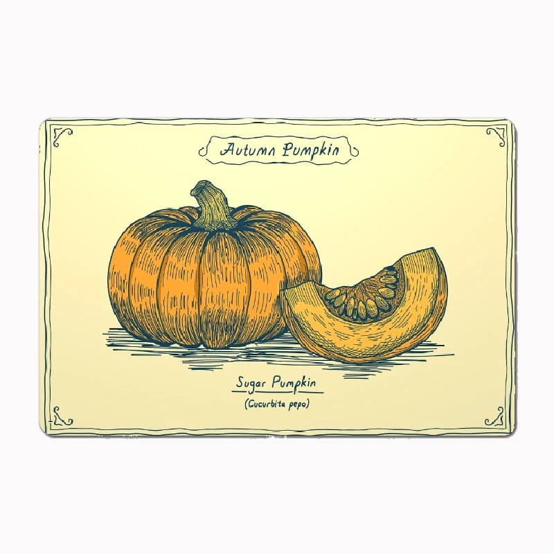 Vintage Botanical Sugar Pumpkin Poster Metal Custom Sign Living Room Wall Indoor Decor Room Decoration Bedroom Home Decor