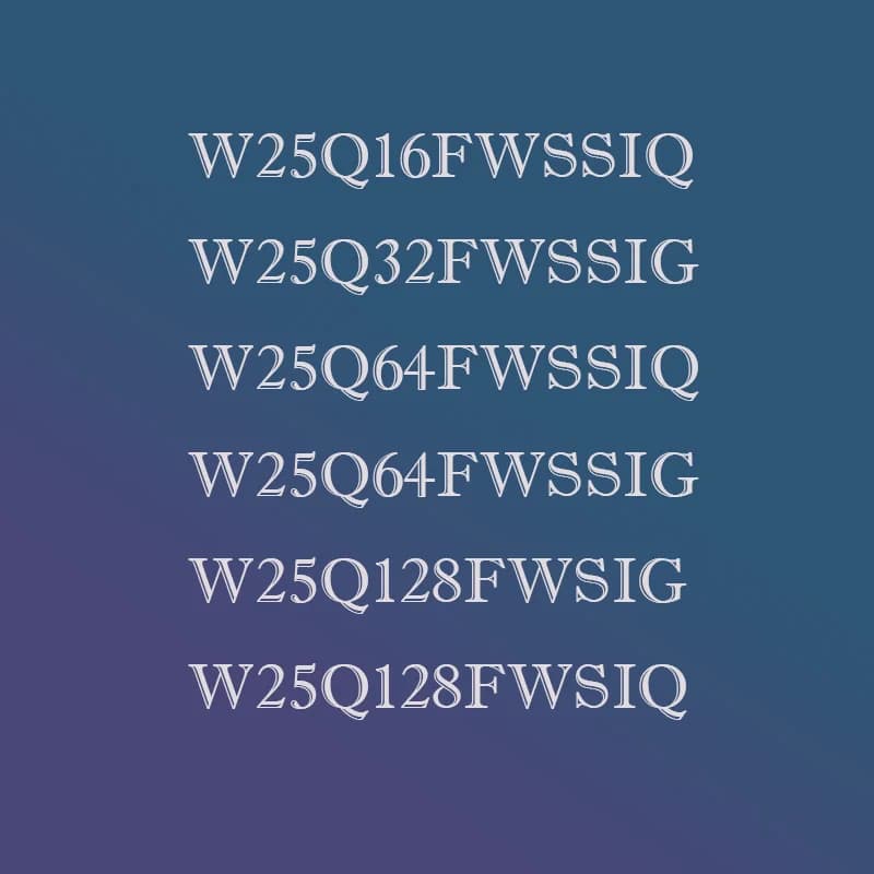W25Q128 64 32 16 FWSSIG FWSSIQ FWSIG FWSIQ FWSG FWSQ FW   plastic housing
