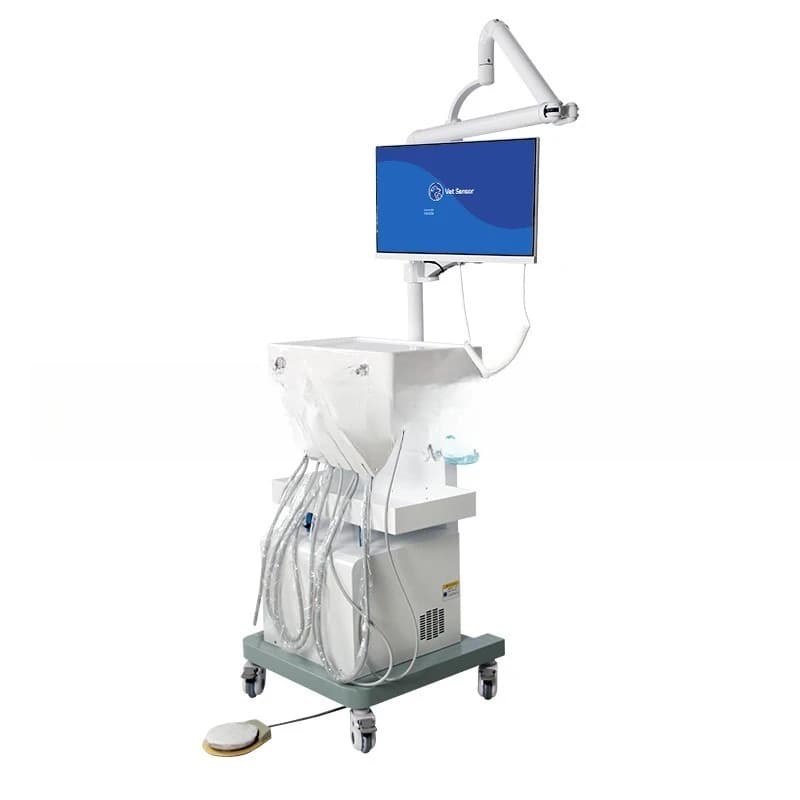 New pet dental workbench, desktop turbine, animal oral dental cleaning machine, cat and dog calculus removal dental cleaning