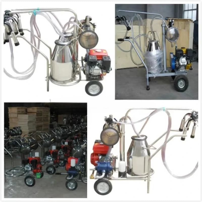 The best dairy farm equipment in a milking machine