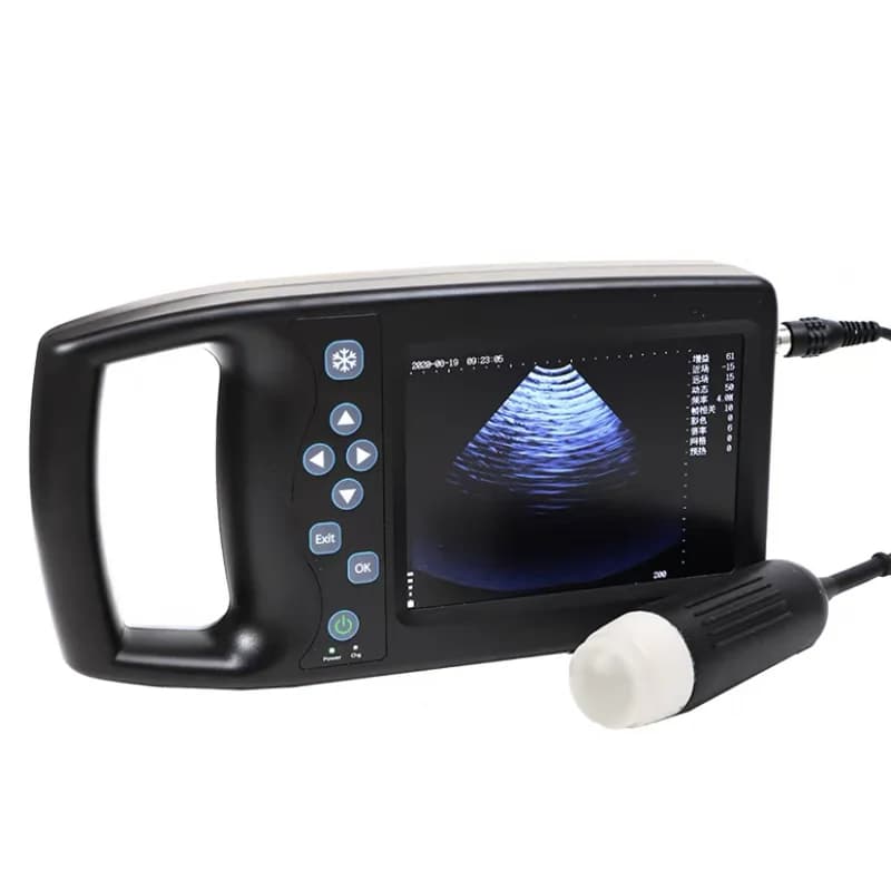 5.6 Inch LCD Screen Ultrasound Scanner For Cattle Cow Pig Horse Ultrasound testing Machine Color