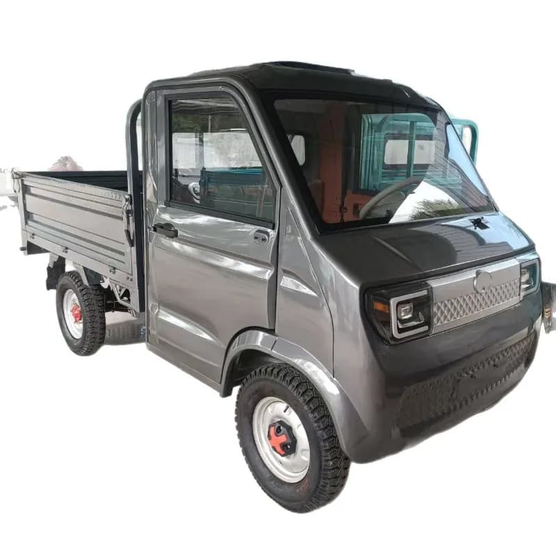Low-speed new energy scooter, cargo and passenger dual-purpose adult model