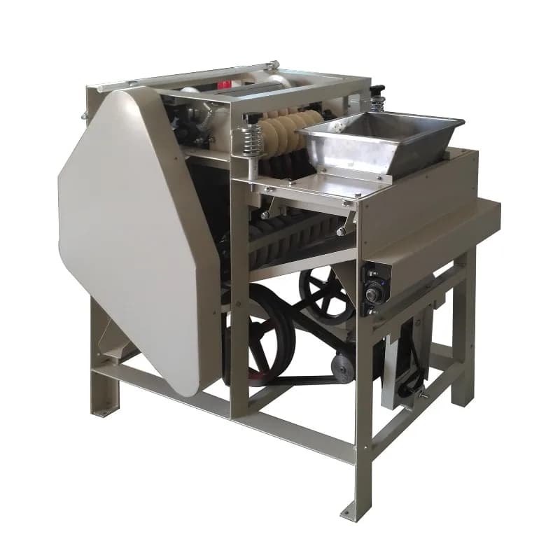 Almond peeling machine Wet peeling machine Fava bean peeling machine Soybean Almond