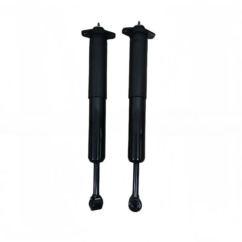 4895513AC rear shock absorber for 300