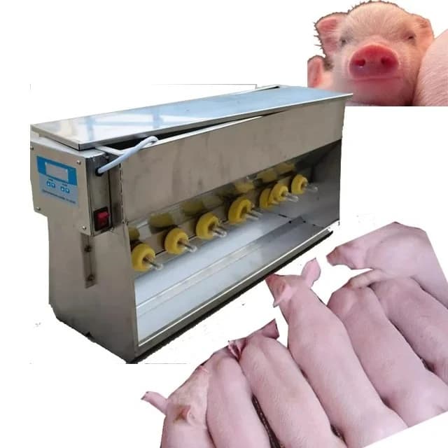 Automatic Pig Feeder with Sound 10 Nipples Stainless Steel Standard Style Lamb Feeders