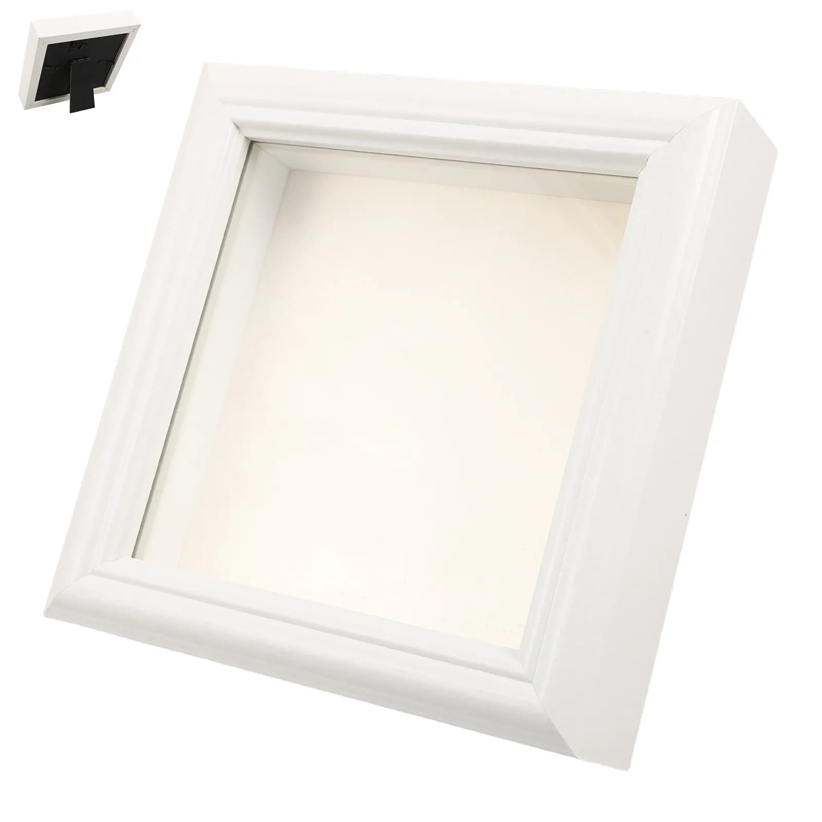 Insect Display Case Clear Window Specimen Box 5x5 Inch Shadow Box Frame for Butterfly Dragonfly Collection Table Decor