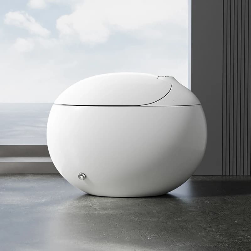 Intelligent Toilet, Modern Technology, Seat Heating, Remote Control Function, Automatic Cleaning, Floor-mounted,  Sensor Flush,