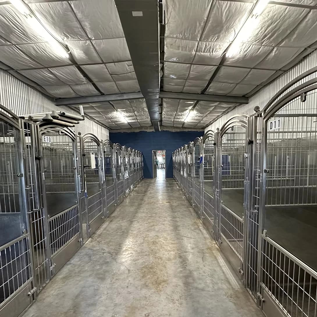 Large Dog Runs Stainless Steel Kennels Glass Door and HDPE Panels Custom Walk in Kennel