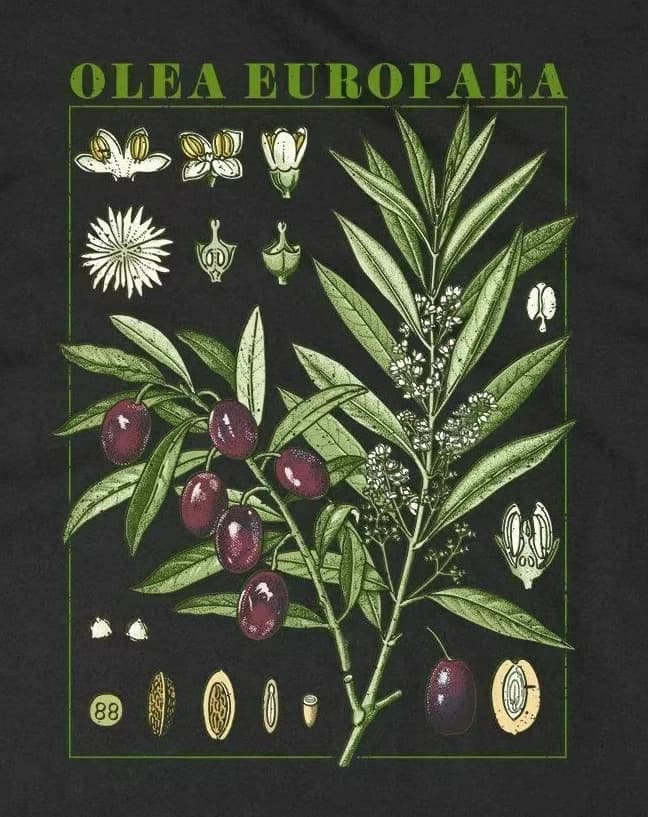 Olive Bloom Fruit Flower Grow Botany Botanical T-Shirt 100% Cotton O-Neck Summer Short Sleeve Casual Mens T-shirt Size S-3XL
