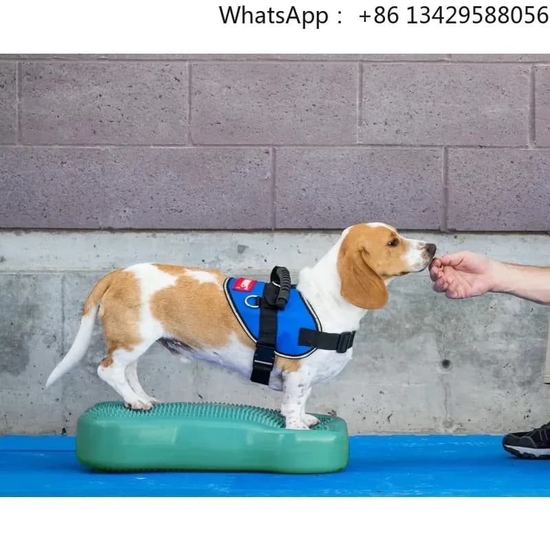 Ball Dynamics Balance Training Device for Dog Training and Fit dog agility pets acessorios artículos para mascotas