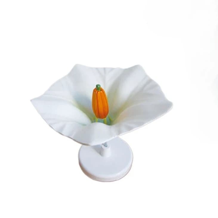 Potato flower model plant flower structure model for school biological science education