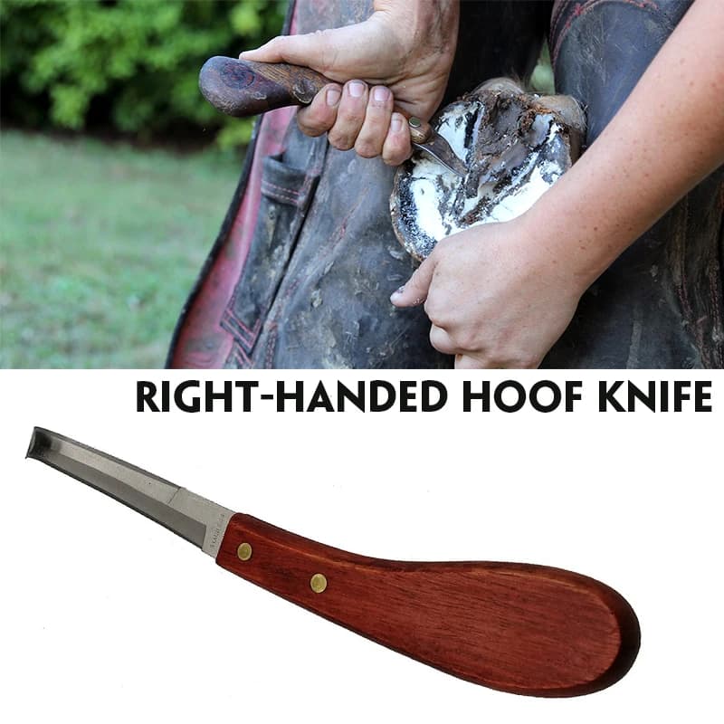 Right Left Double Sided Razor Edge Horse Care Cutting and Scraping
