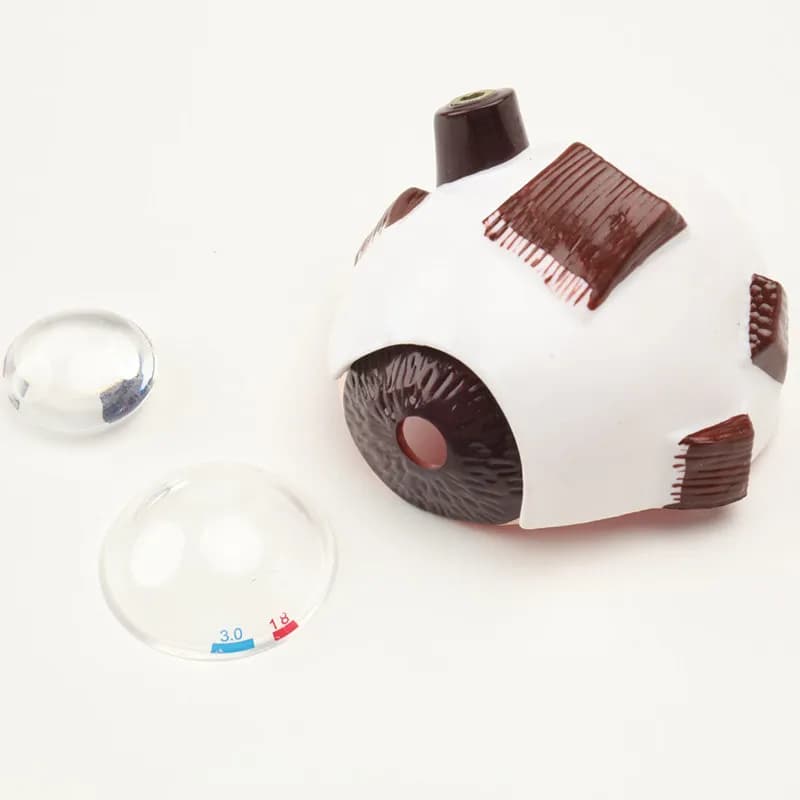 Cataract Eye Model Pathological Human Eye Structure Eye Anatomy Model Teaching Demonstration