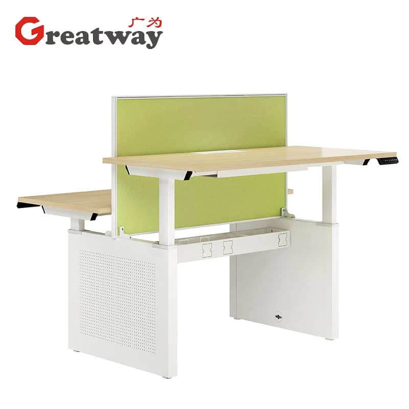 Height Adjustable Electric Desk Ergonomic Modular Office Workstation Sit-stand Desk