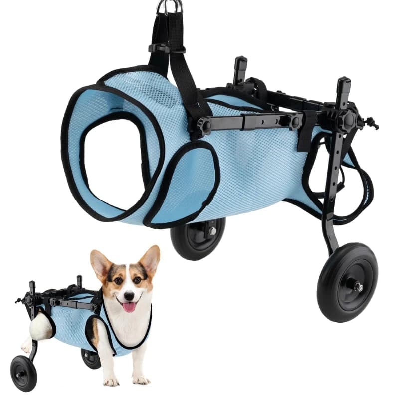 Small Pet Handicap Stroller Adjustable Pet Injury Protection Wheelchair