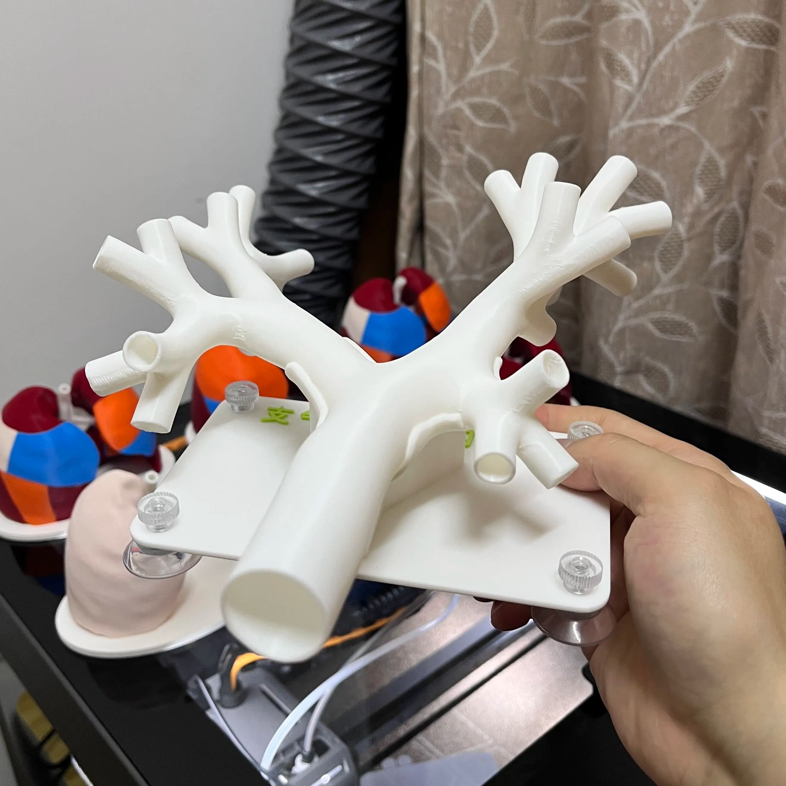 Bronchial Tree Model, Flexible Bronchoscopy Training Model for Medical Students & Doctors