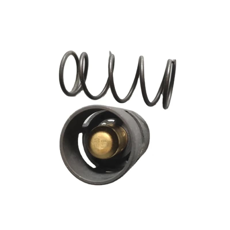 High Quality Screw Air Compressor Parts 2901161600 1619073300 Thermostatic Valve Kit