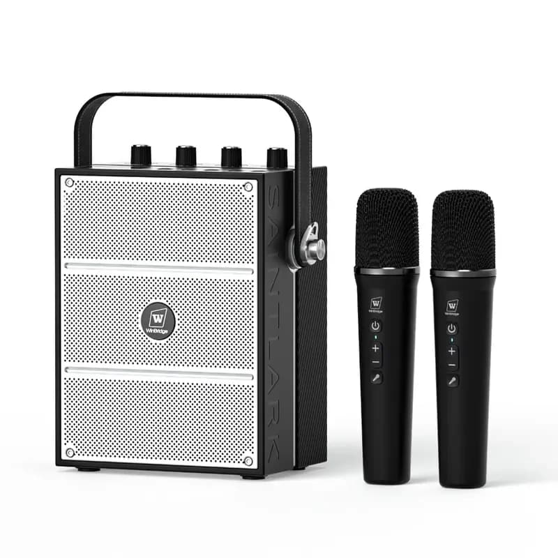 for S99 Portable Mini Amplifier System with Wireless Dual Handheld Plastic Mics