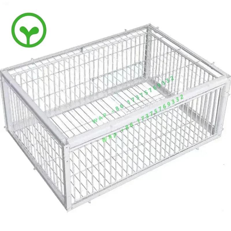 【2026】Pigeon Trap Automatic Trap Birdcage One-way Design, Entry And Exit, Bird Trap, Sparrow Trap