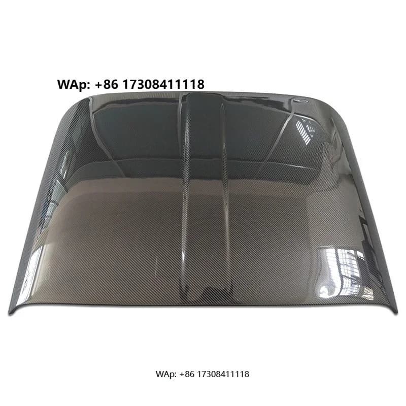 2001-2013 High Quality Car Roof Suitable for Lotus Elise s2 & Exige Vx220 Carbon Fiber Car Roof Cover