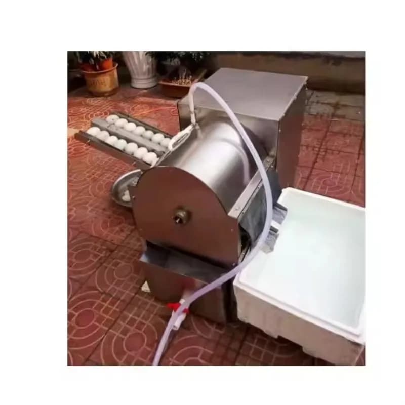 New Product Egg Cleaning Sorting Machines for Sale
