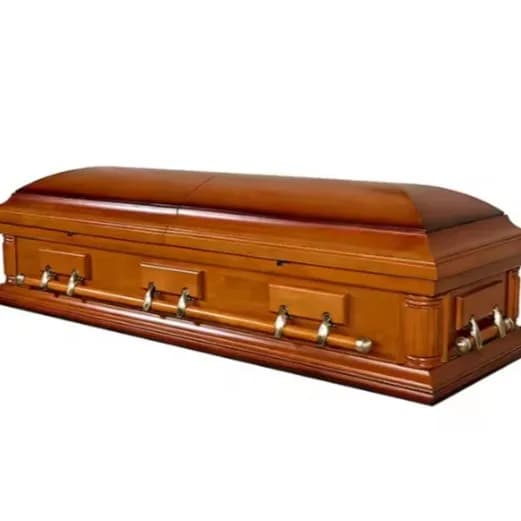 High-end coffin, coffin, life material, grave removal urn
