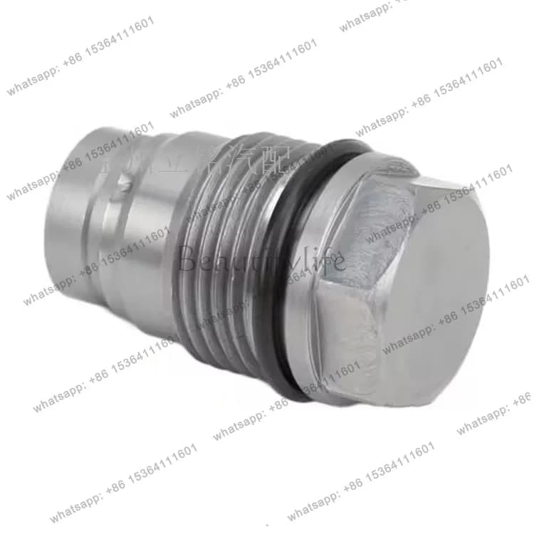 Factory direct sales for automobiles, pressure relief valve 1110010015 1110010028