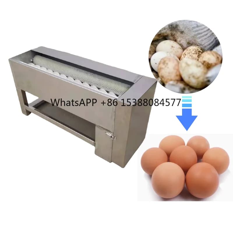 Brush Egg Cleaning Washing Machine Device Equipment Egg Washer Device