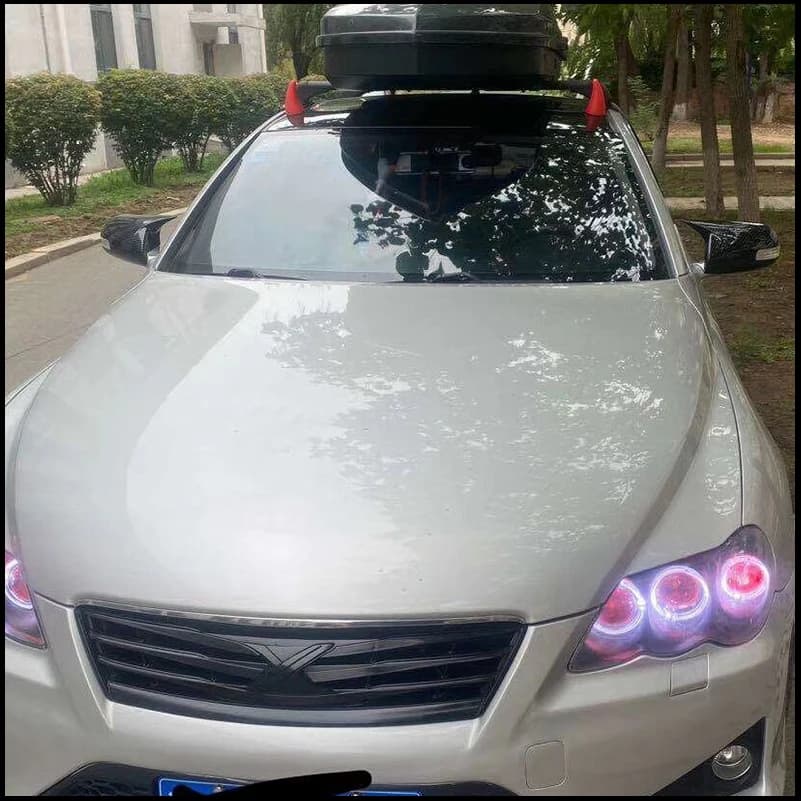 FOR Toyota Mark X X120 2004-2009 With Horn REARVIEW MIRROR COVER CAPS STICKER TRIM Car-styling Auto Parts Accessories