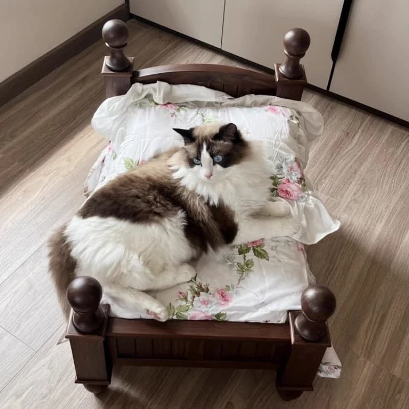Black Walnut Off the Ground Princess Bed Cat Nest Solid Wood Pet Supplies