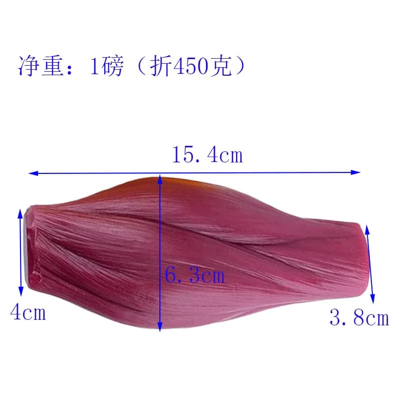 Human Muscle Tissue Model Medical Teaching Anatomy Display Fitness Teaching Prop