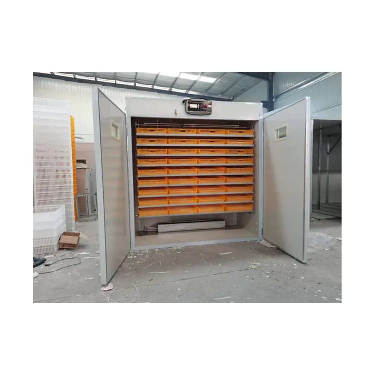 Automatic High Hatching Rate Chicken Egg Incubator 5280 For Sale