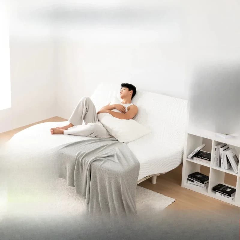 Electric Smart Mattress Independent Spring Fully Automatic Multifunctional Couple Elderly Simmons