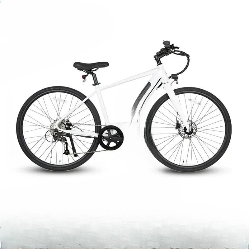 Electric Assist Bicycle Adult Urban Commuter Highway Smart Bike
