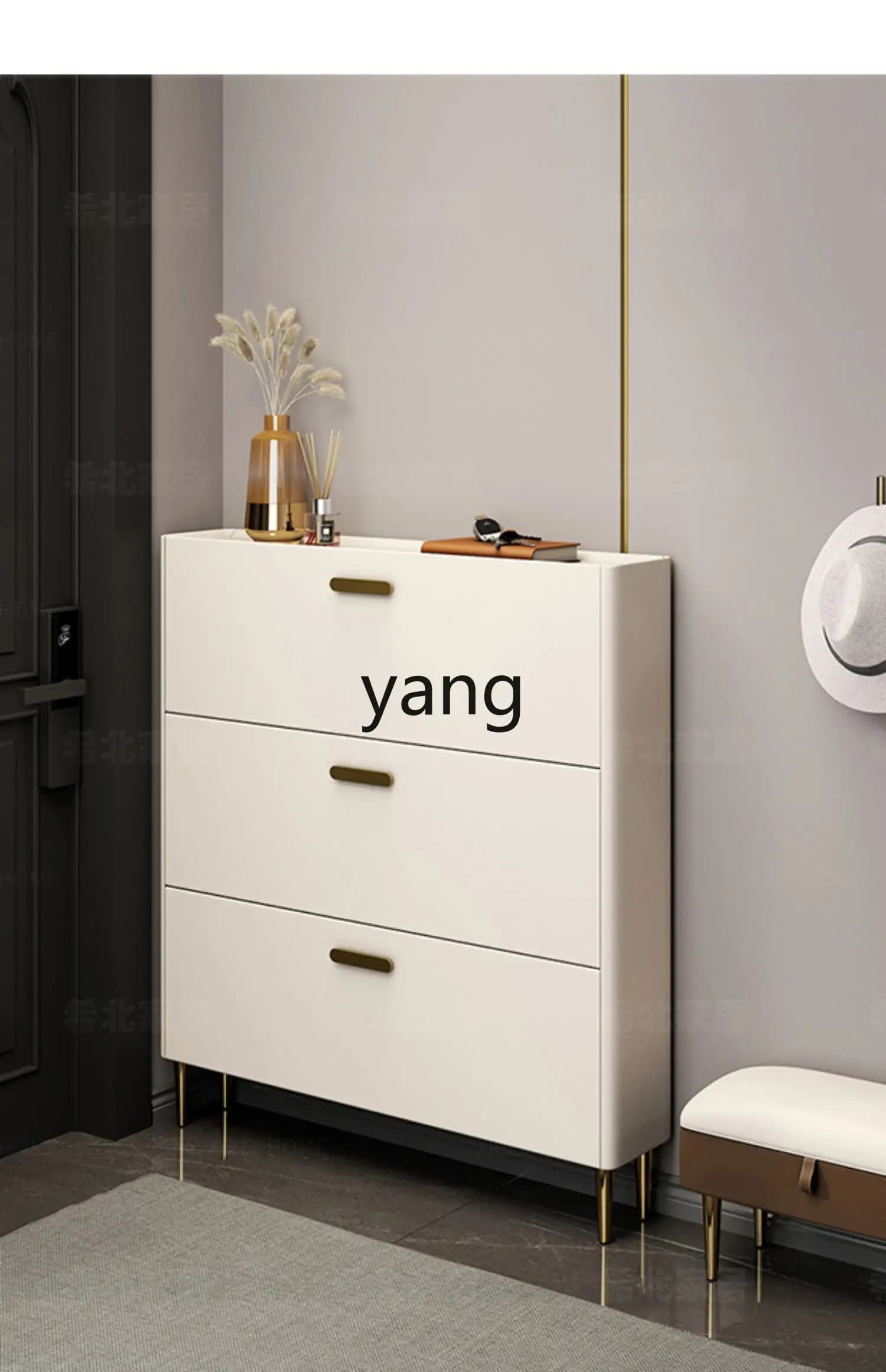 LLMMShoe Cabinet Simple Modern Light Luxury Shoe Changing Stool Home Large Capacity Narrow Entrance Entrance Shoe Cabinet