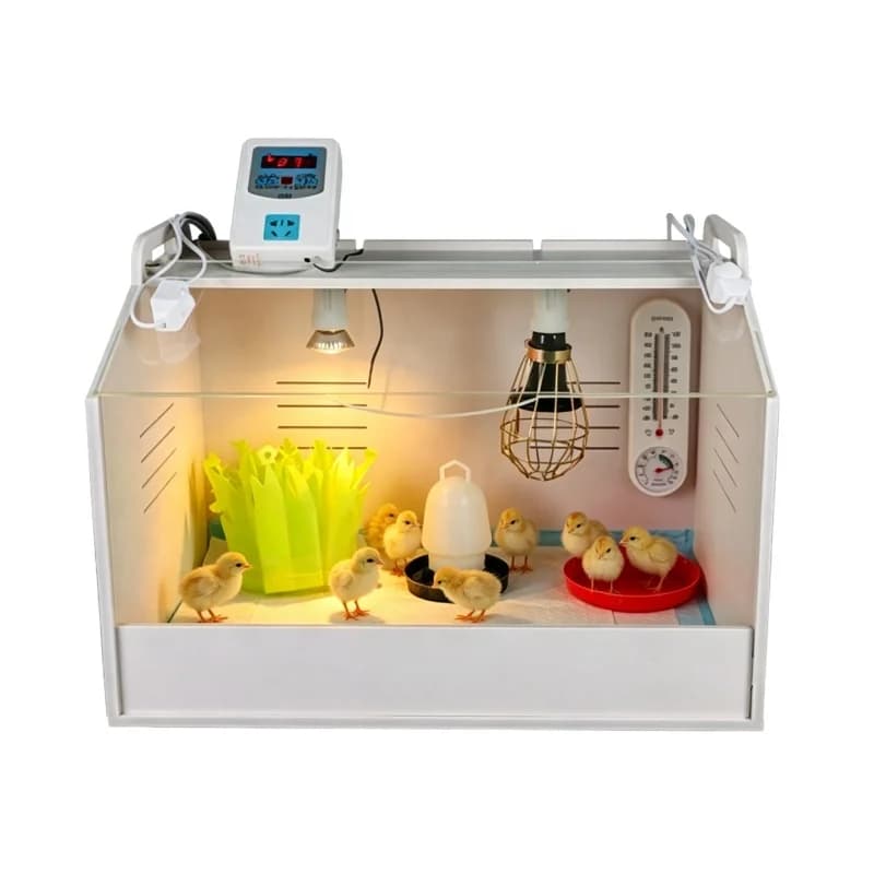 Poultry Brooder Incubator Box, Constant Temperature Rearing Container for Chicks, Quails, Ducks, Geese and Reptiles