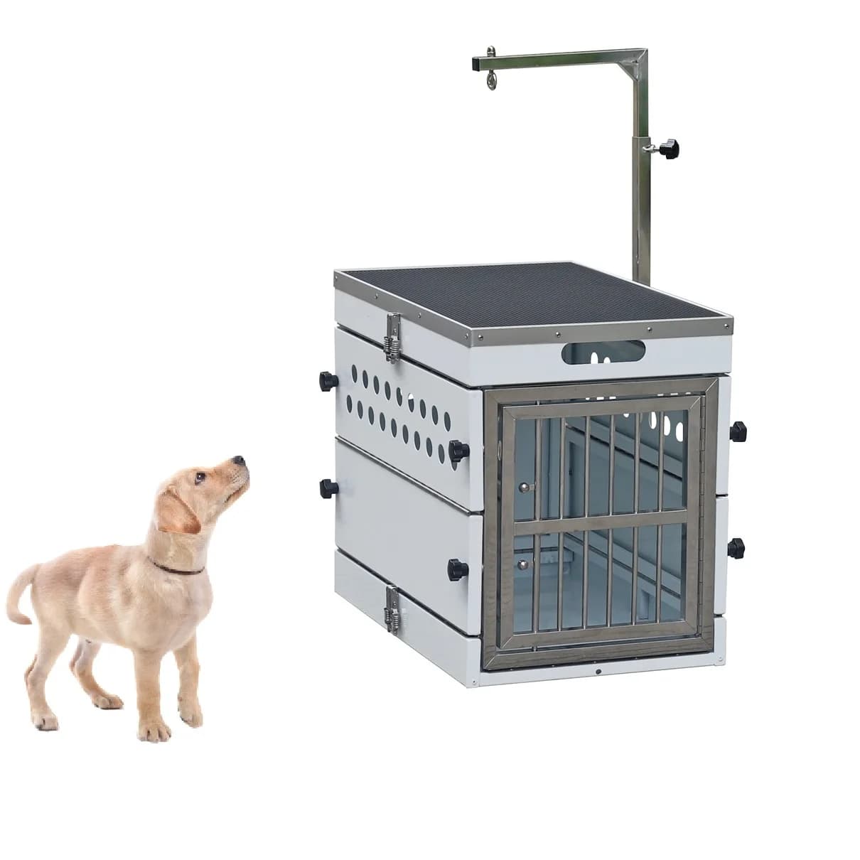 Portable Pet Carrier Cabin Airline Approved Pet Carrier Better Airline Approved Rolling Pet Carrier