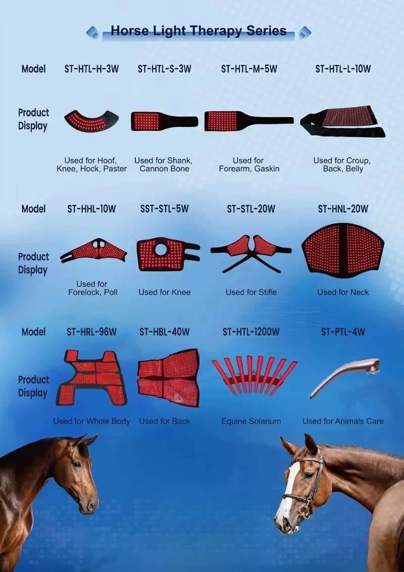 CE Equine Therapy Wrap Infrared Therapy Pad for Horse Back and Horse Red Light Therapy Pad Popular for Horse Racing Healthcare