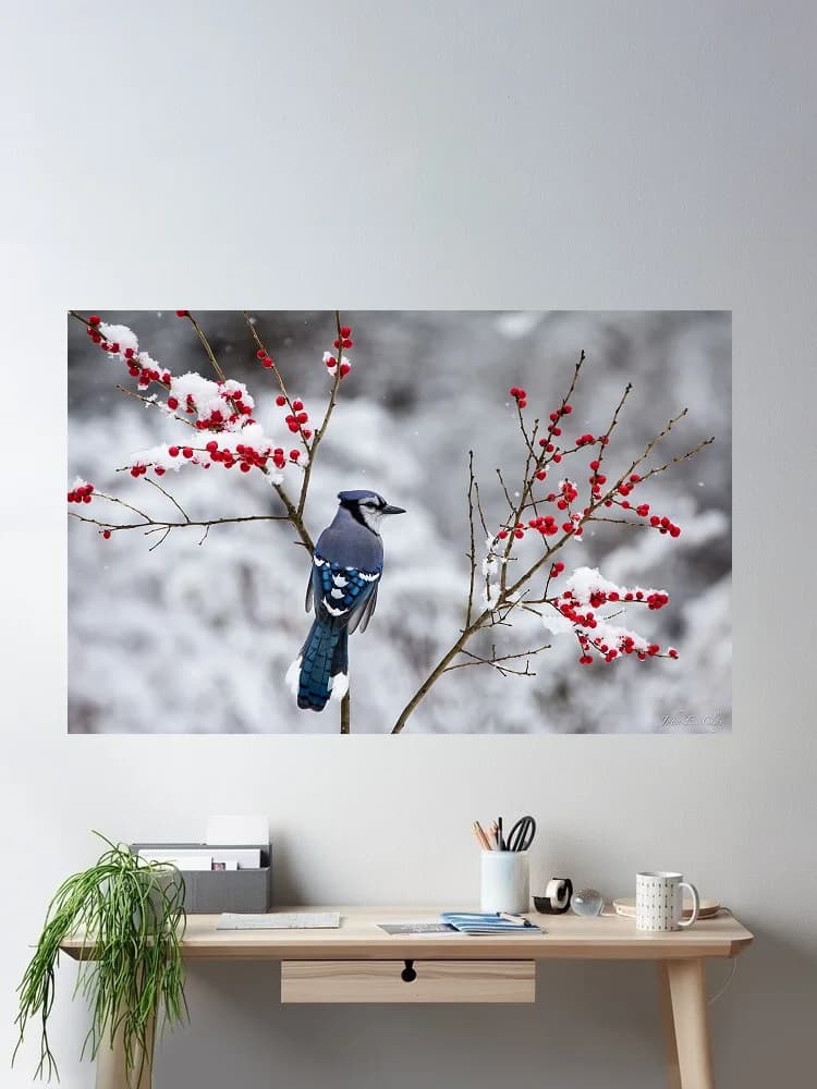 Blue Jay Elegance: Stunning Art Print Canvas Poster, Living Room Decor, Home Wall Picture
