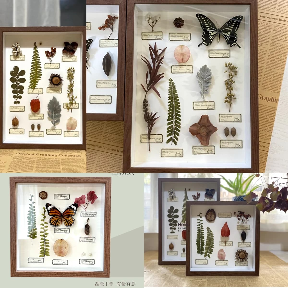 2087 Vintage Butterfly Plant Specimen box Wall Art Handmade Aesthetic Home Decor Birthday Gift Wedding Christmas Party Supplies