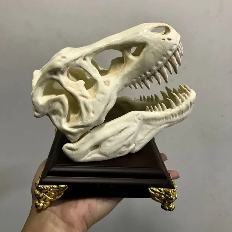 3D Printed Tyrannosaurus Rex Skull Model Aquarium Desktop Ornament Creative Collectible Dinosaur Figure Hobby Enthusiasts Gift