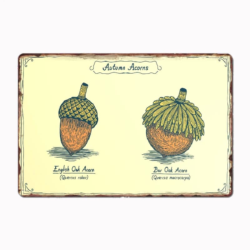Autumn Acorns Botanical Poster Metal Custom Sign Living Room Wall Indoor Decor Room Decoration Bedroom Posters Home Decor