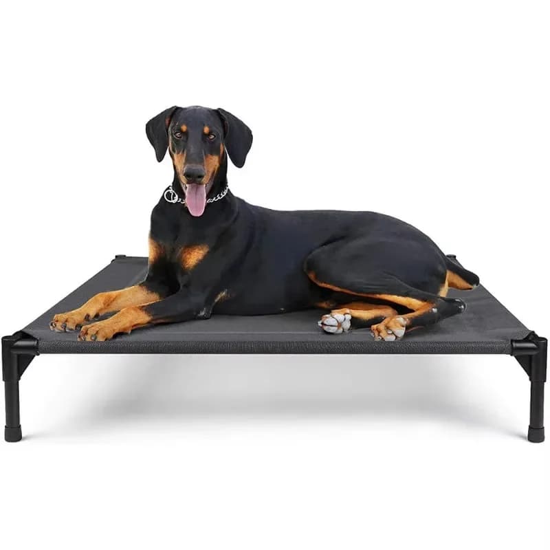 Outdoor elevated dog bed stainless steel frame large cooling pet bed