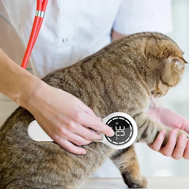 Veterinary Portable Handheld Lcd Display Dog Horse Low Level  Therapy Pain Relief Device Animals Pets Wound Healing Machine
